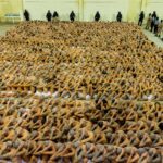 La intención de Bullrich de replicar el modelo de Bukele