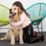 Los perros que ayudan a sanar