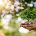 “A nivel mundial, cada vez más se exigen certificaciones”