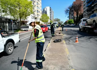 La limpieza y la gestión de los residuos, en el centro de la campaña del Frente Amplio para conservar Montevideo