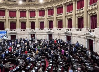 Diputados ratificó la emergencia pediátrica y el financiamiento universitario