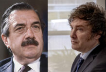 Elecciones legislativas, de Alfonsín a Milei
