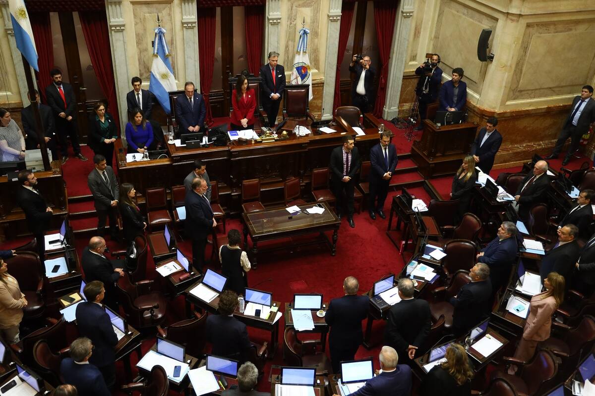 la-camara-de-senadores-durante-el-debate-de-ficha-HDOHBV2ZSVEAHLFJR3Q6ZGED74
